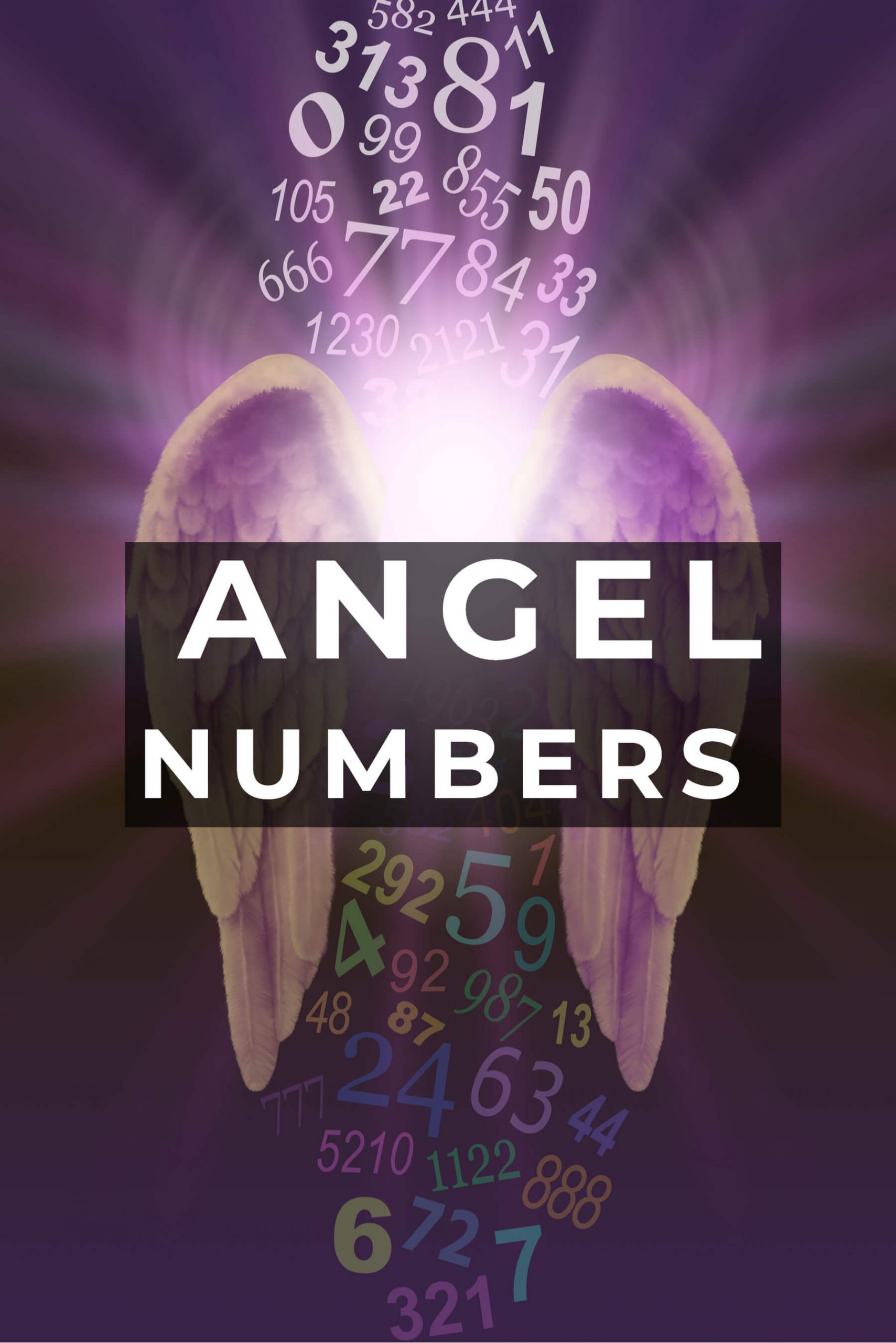 Wings With Different Numerology