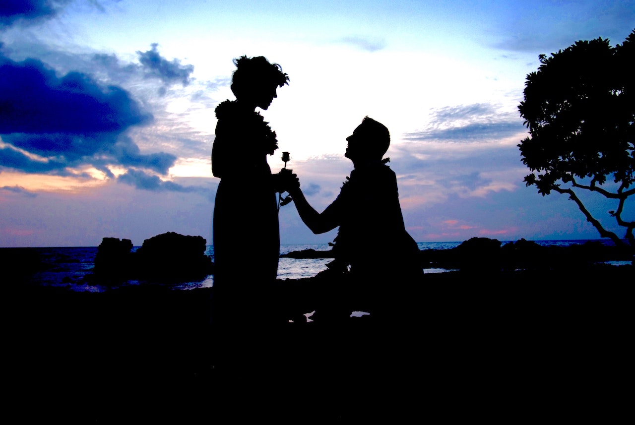 Man Kneeling in Front of Woman Giving Flower
