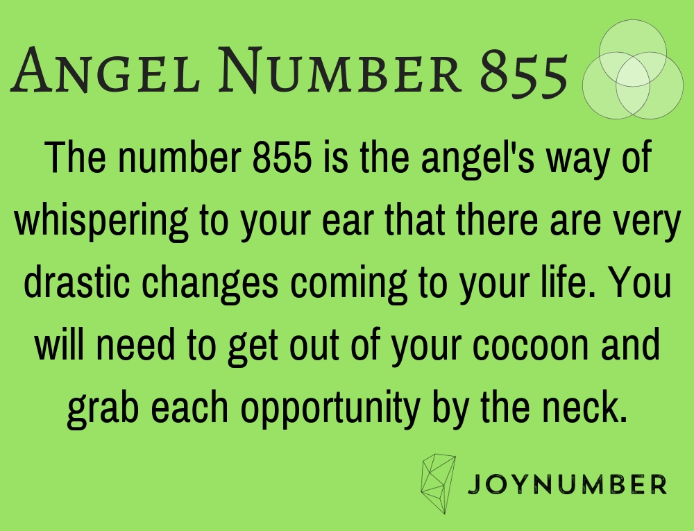855 angel number meaning