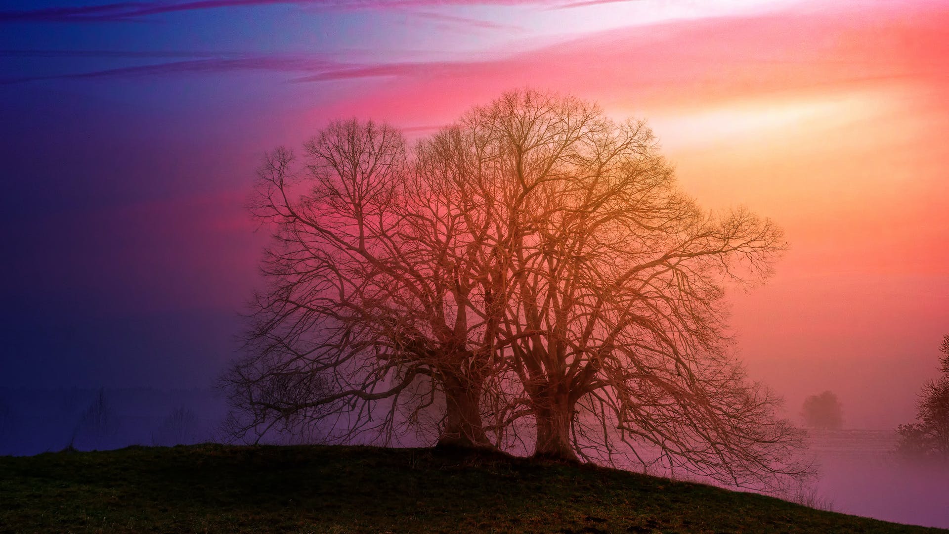 Decoding The Unknown: A Closer Look At Mystic Sense And Its Mystical Offerings